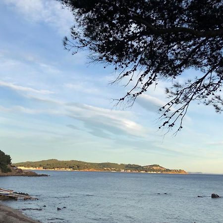 Studio St-Mandrier 300M Mer Saint-Mandrier-sur-Mer Dış mekan fotoğraf